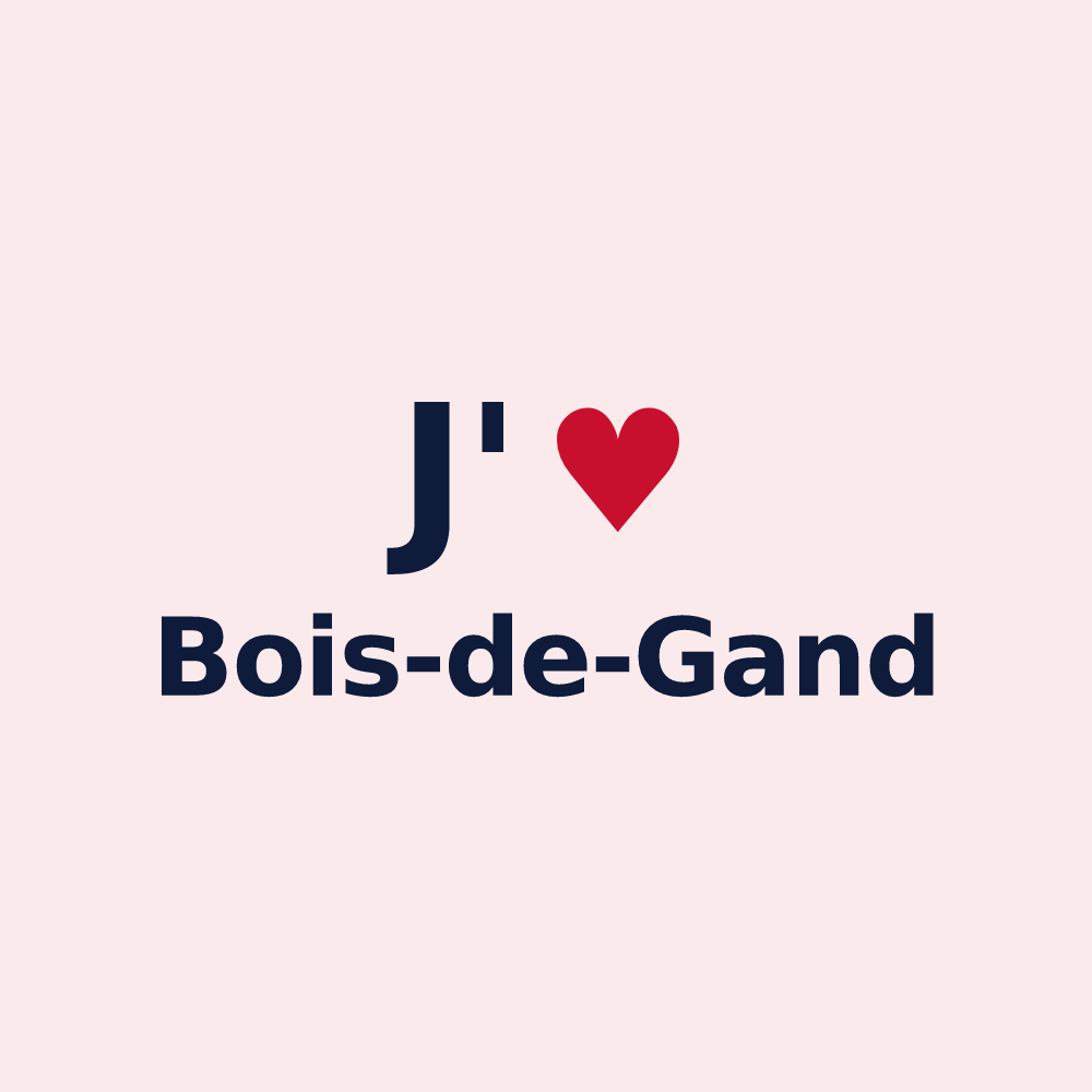 Magnet personnalisé Bois-de-Gand — design J'aime Bois-de-Gand