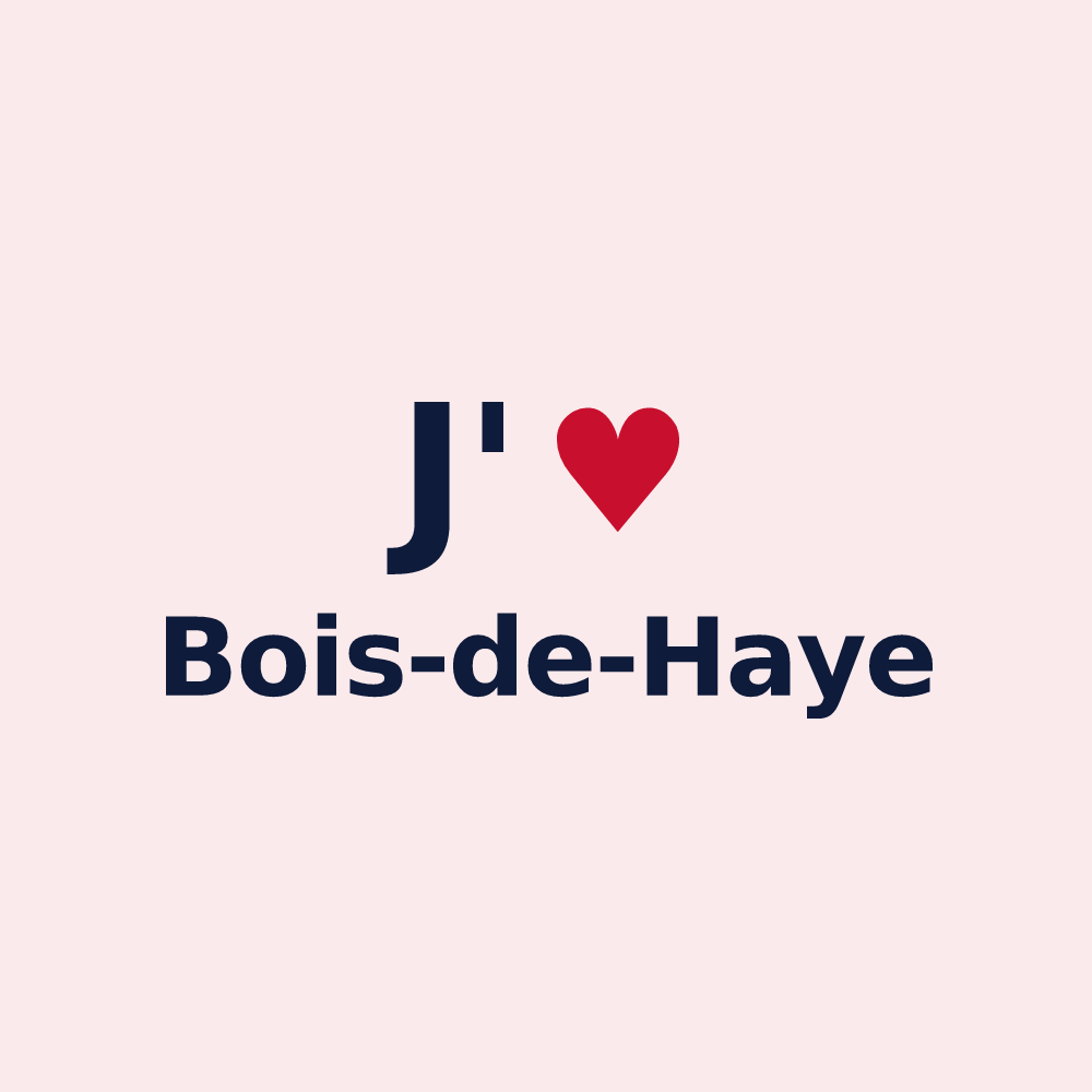 Magnet personnalisé Bois-de-Haye — design J'aime Bois-de-Haye