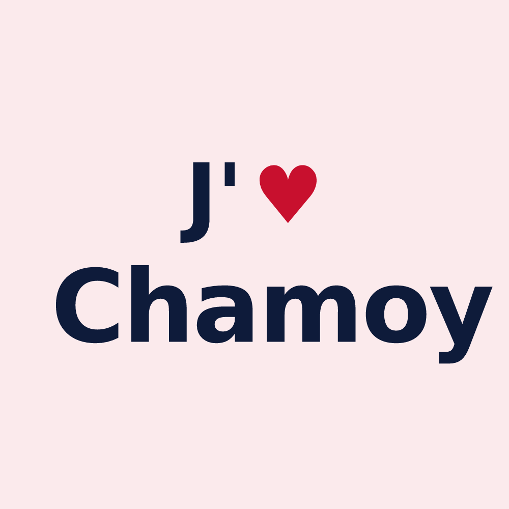 Magnet personnalisé Chamoy — design J'aime Chamoy