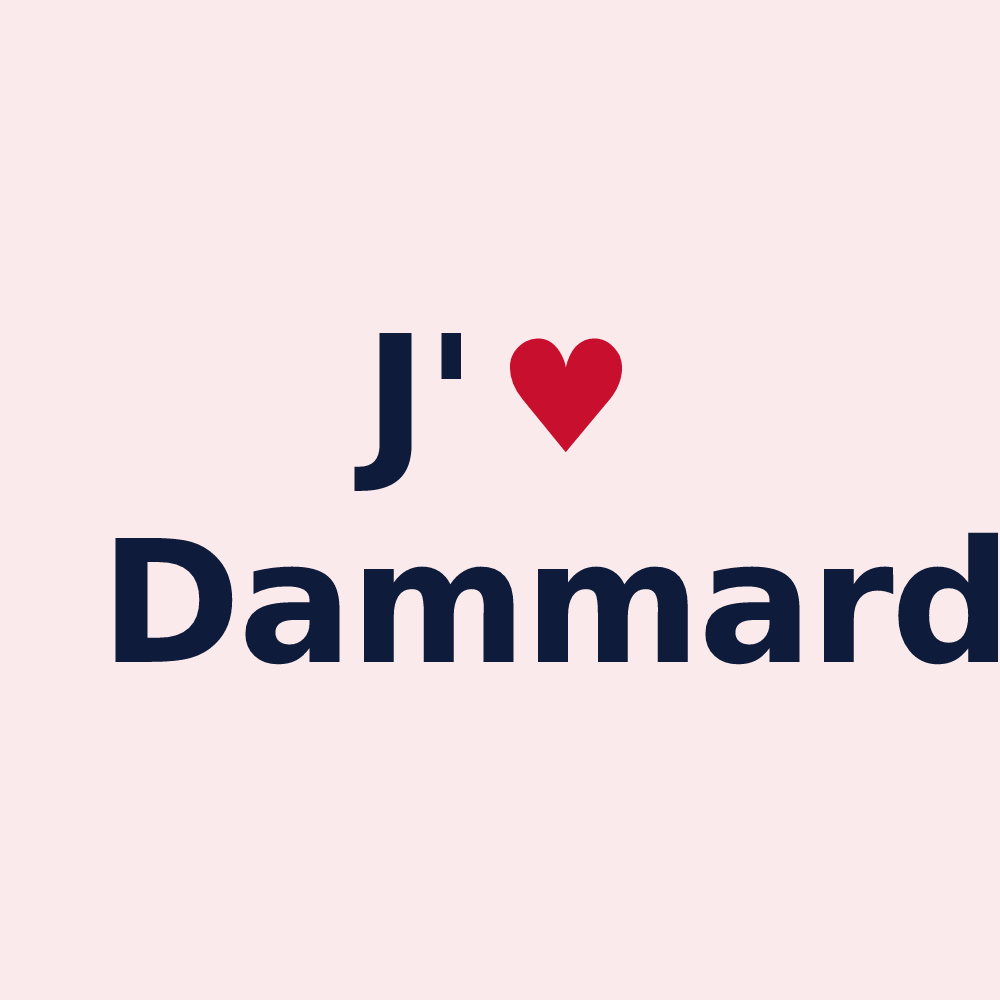 Magnet personnalisé Dammard — design J'aime Dammard