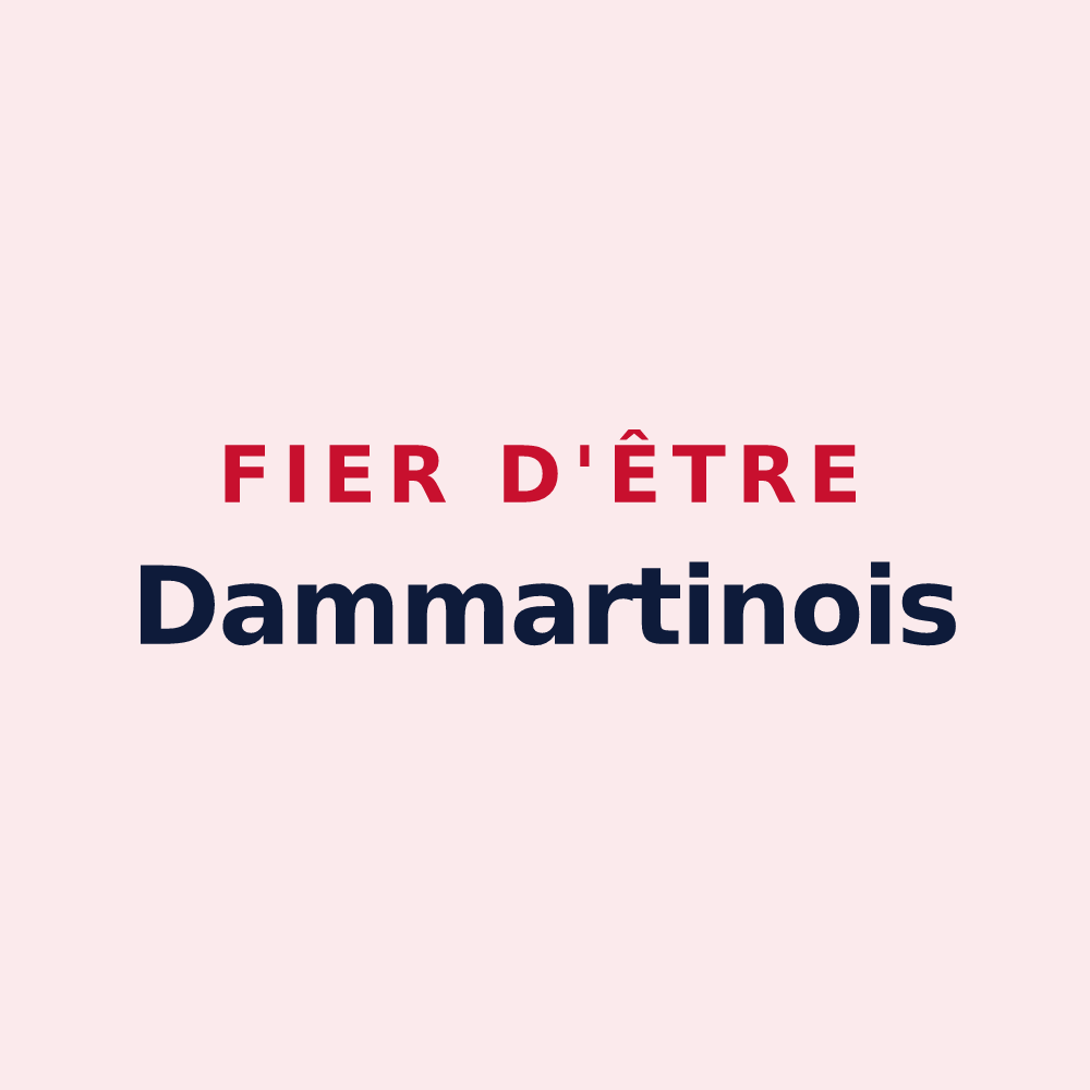 Magnet « Fier d'être Dammartinois » — design pour Dammartin-en-Serve