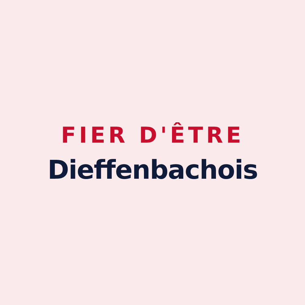 Magnet « Fier d'être Dieffenbachois » — design pour Dieffenbach-au-Val