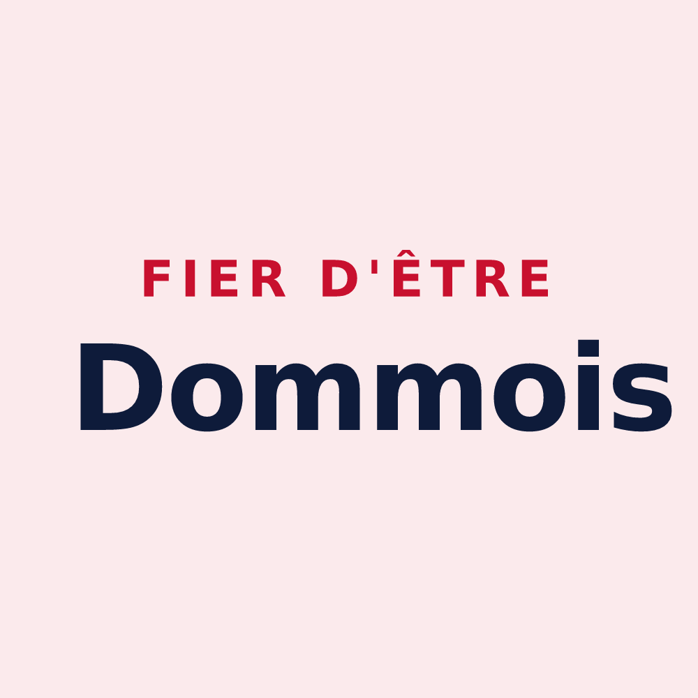 Magnet « Fier d'être Dommois » — design pour Domme