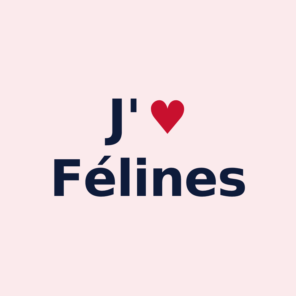 Magnet personnalisé Félines — design J'aime Félines