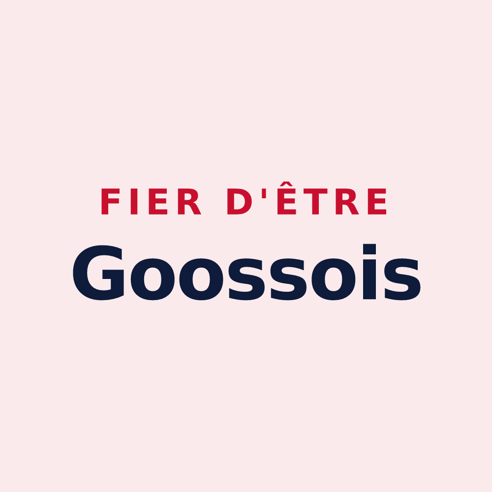 Magnet « Fier d'être Goossois » — design pour Goos