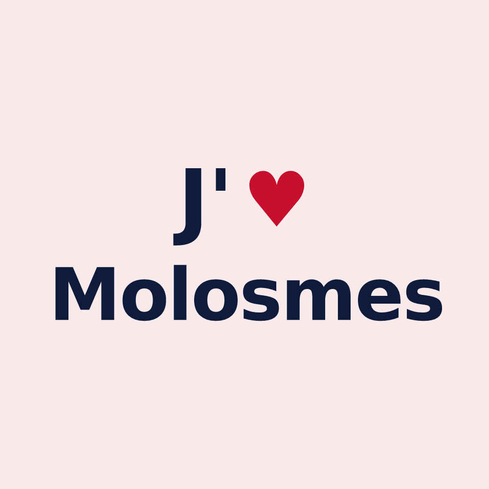 Magnet personnalisé Molosmes — design J'aime Molosmes