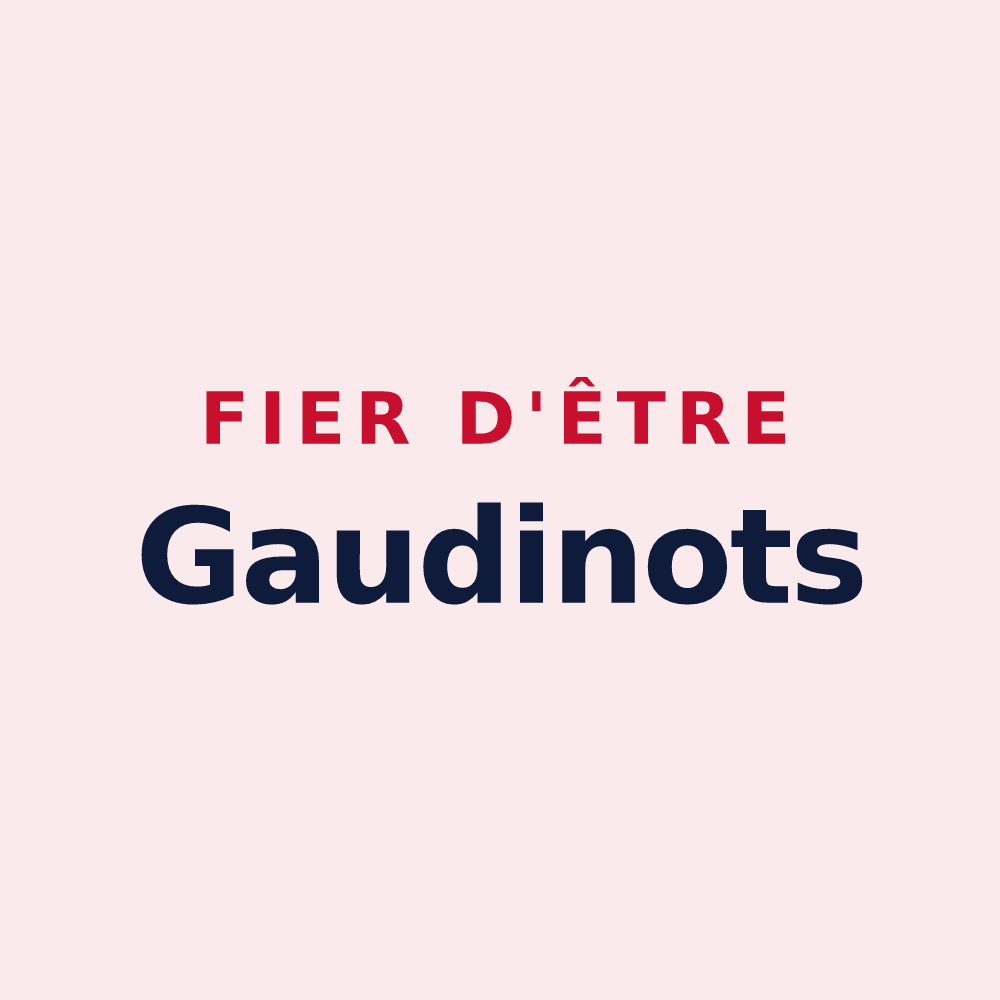 Magnet « Fier d'être Gaudinots » — design pour Punerot