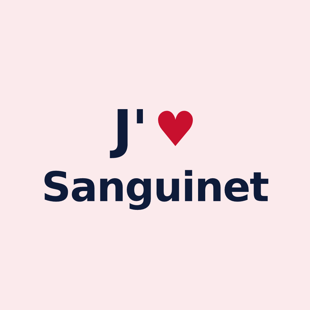 Magnet personnalisé Sanguinet — design J'aime Sanguinet