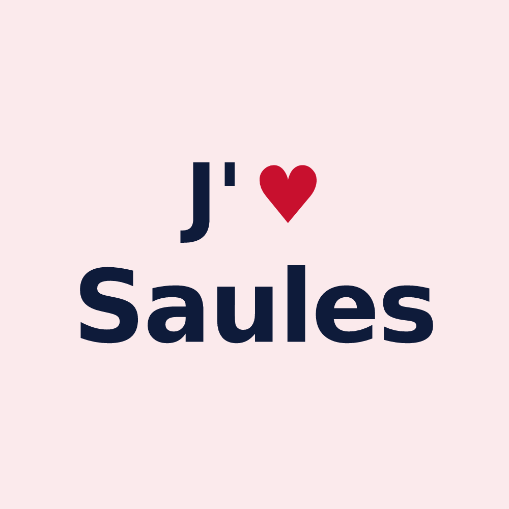 Magnet personnalisé Saules — design J'aime Saules