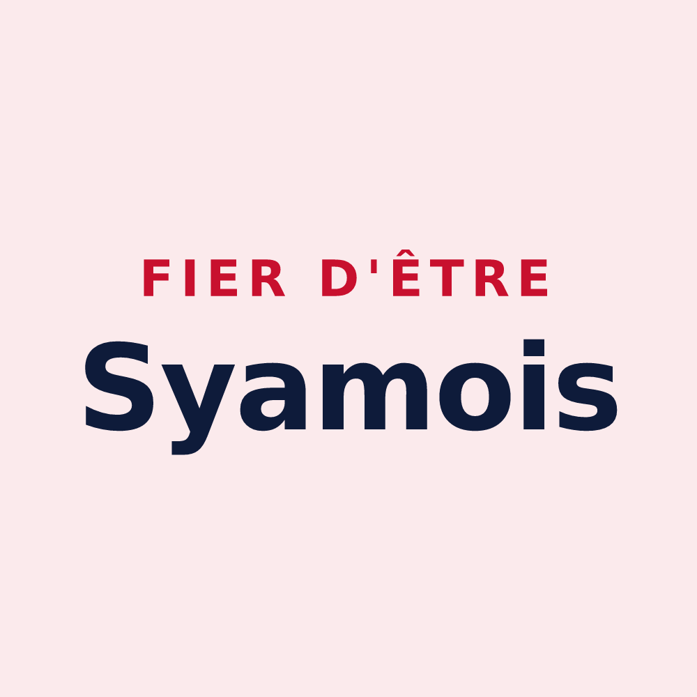 Magnet « Fier d'être Syamois » — design pour Syam