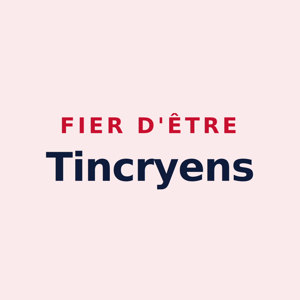 Magnet « Fier d'être Tincryens » — design pour Tincry