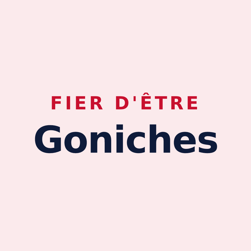 Magnet « Fier d'être Goniches » — design pour Villey-Saint-Étienne