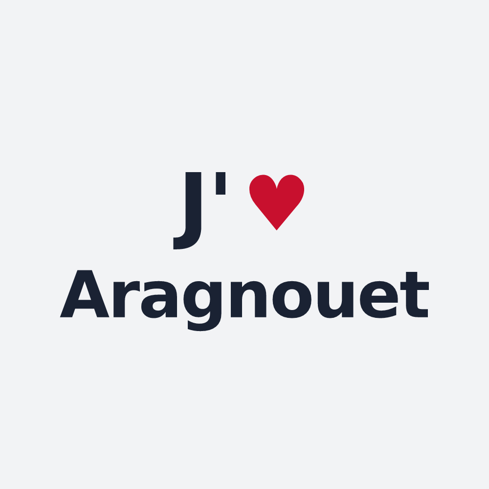 Poster personnalisé Aragnouet — design J'aime Aragnouet
