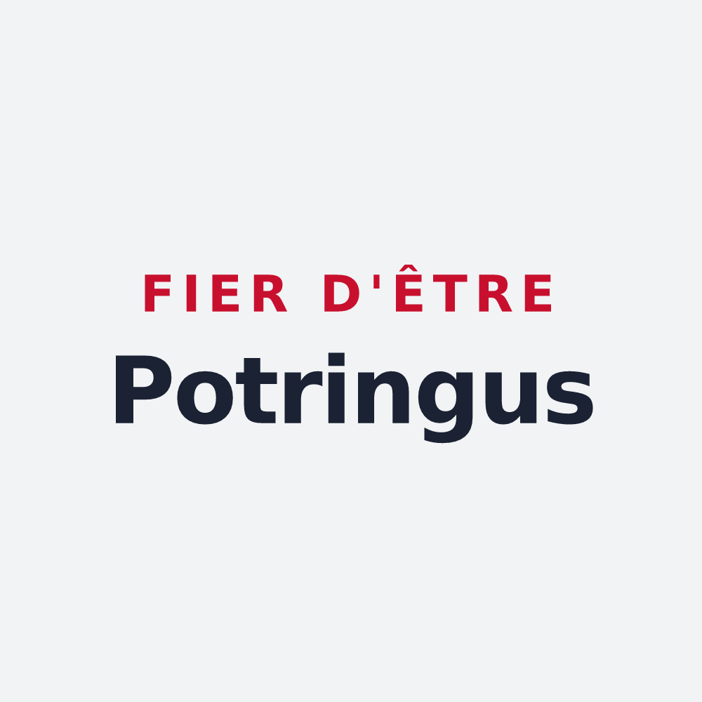 Poster « Fier d'être Potringus » — design pour Avignon-lès-Saint-Claude