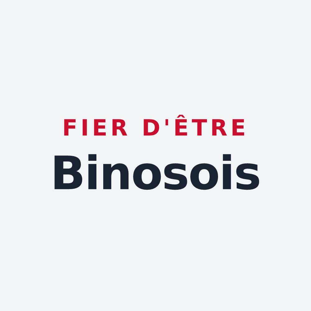 Poster « Fier d'être Binosois » — design pour Binos