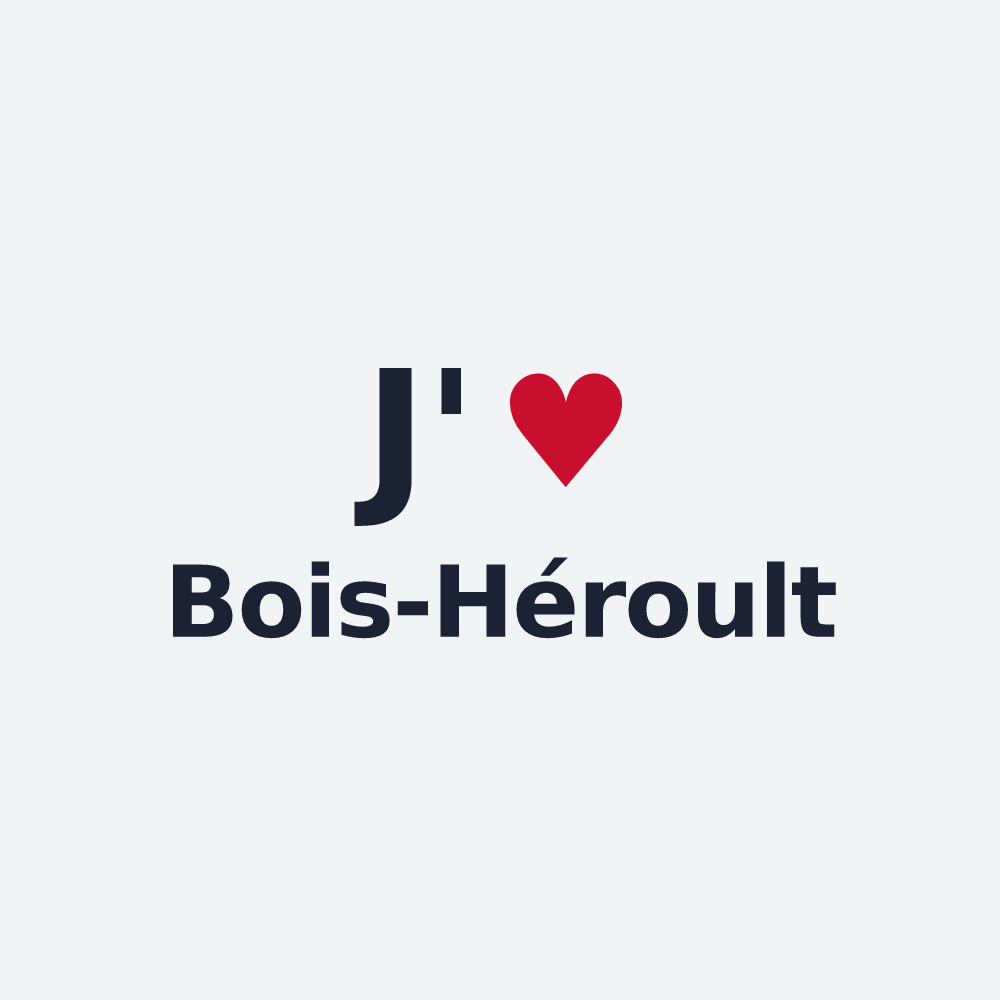 Poster personnalisé Bois-Héroult — design J'aime Bois-Héroult