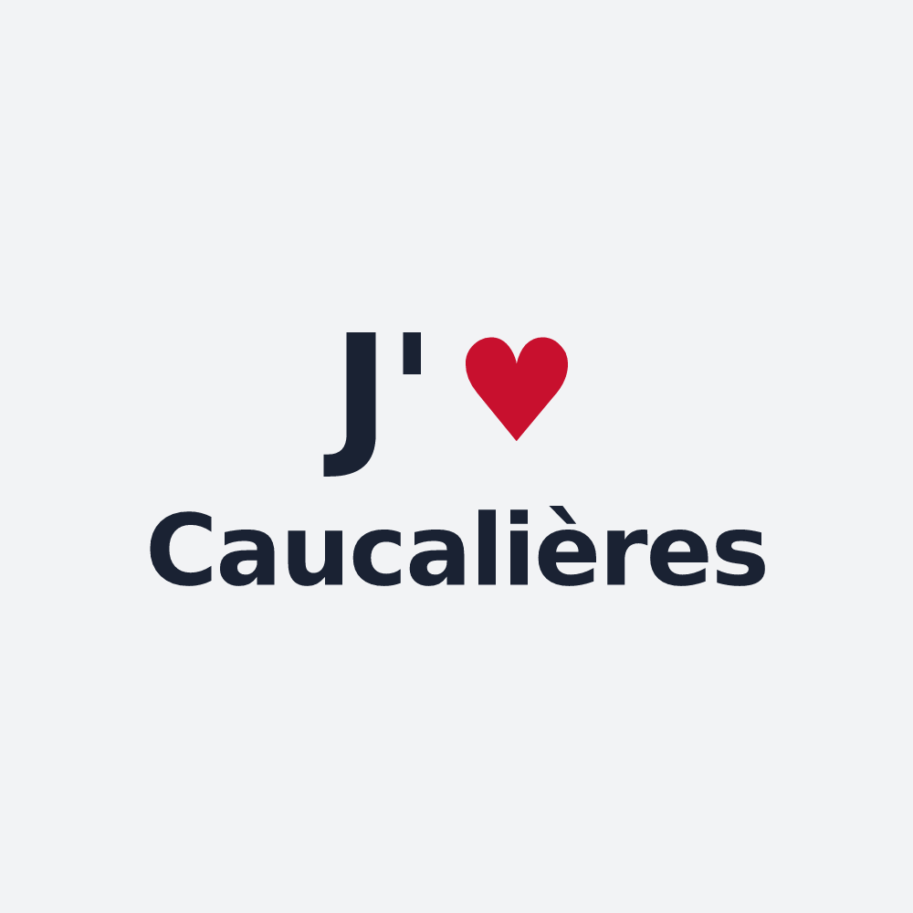 Poster personnalisé Caucalières — design J'aime Caucalières