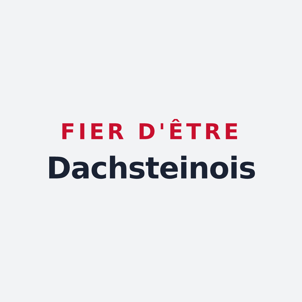 Poster « Fier d'être Dachsteinois » — design pour Dachstein