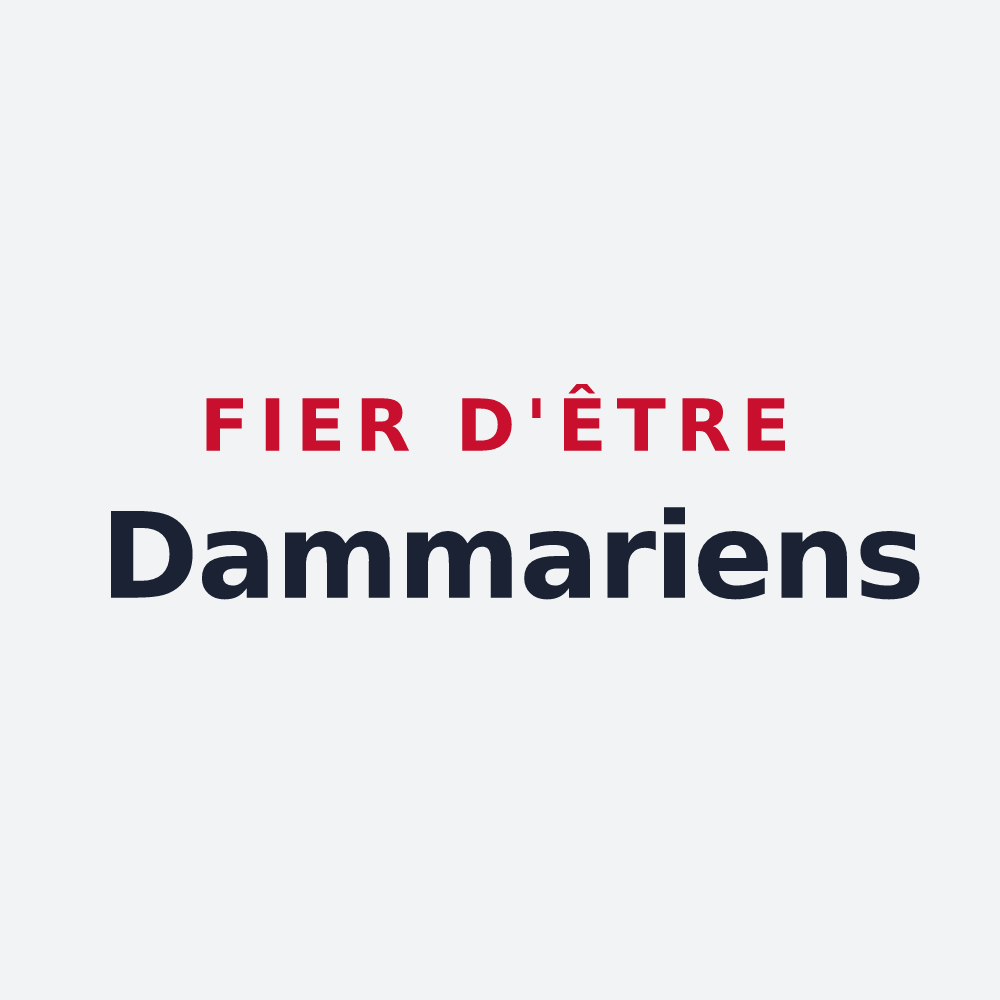 Poster « Fier d'être Dammariens » — design pour Dammarie-en-Puisaye