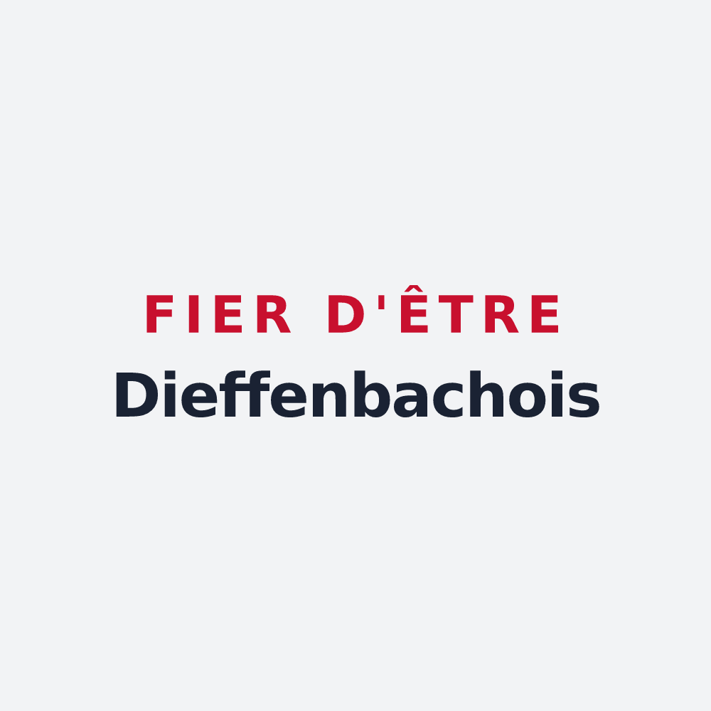 Poster « Fier d'être Dieffenbachois » — design pour Dieffenbach-lès-Wœrth
