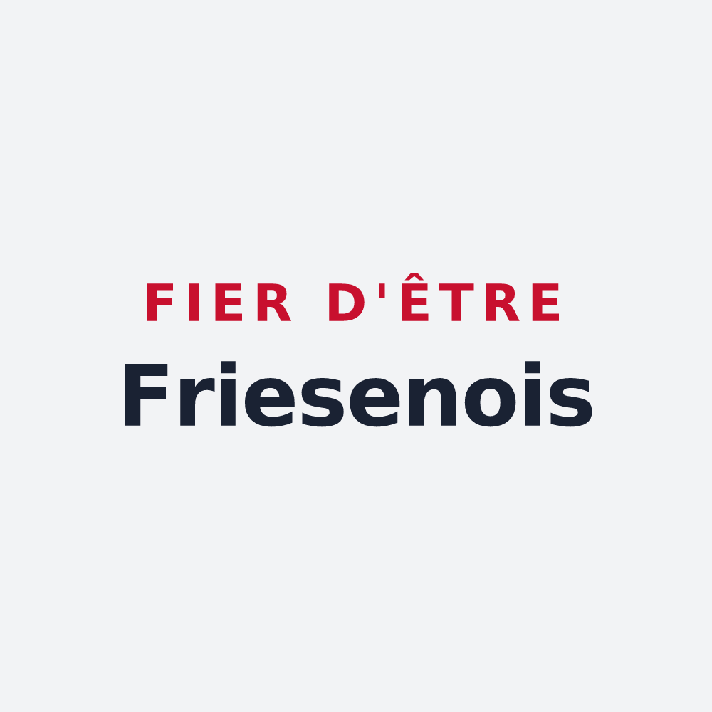 Poster « Fier d'être Friesenois » — design pour Friesen