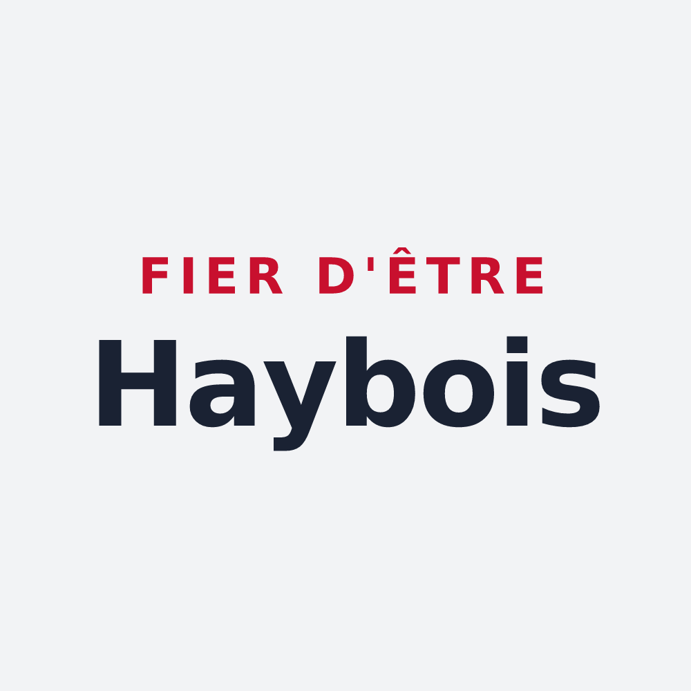 Poster « Fier d'être Haybois » — design pour Haybes