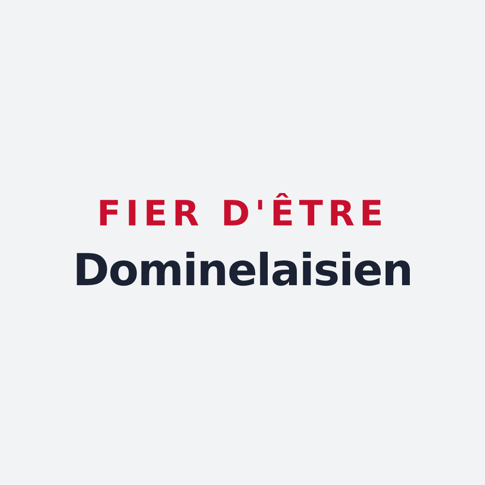 Poster « Fier d'être Dominelaisien » — design pour La Dominelais