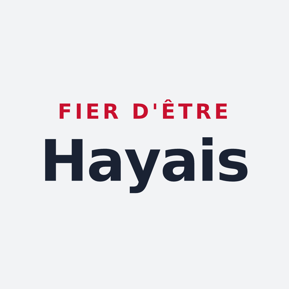 Poster « Fier d'être Hayais » — design pour La Haye