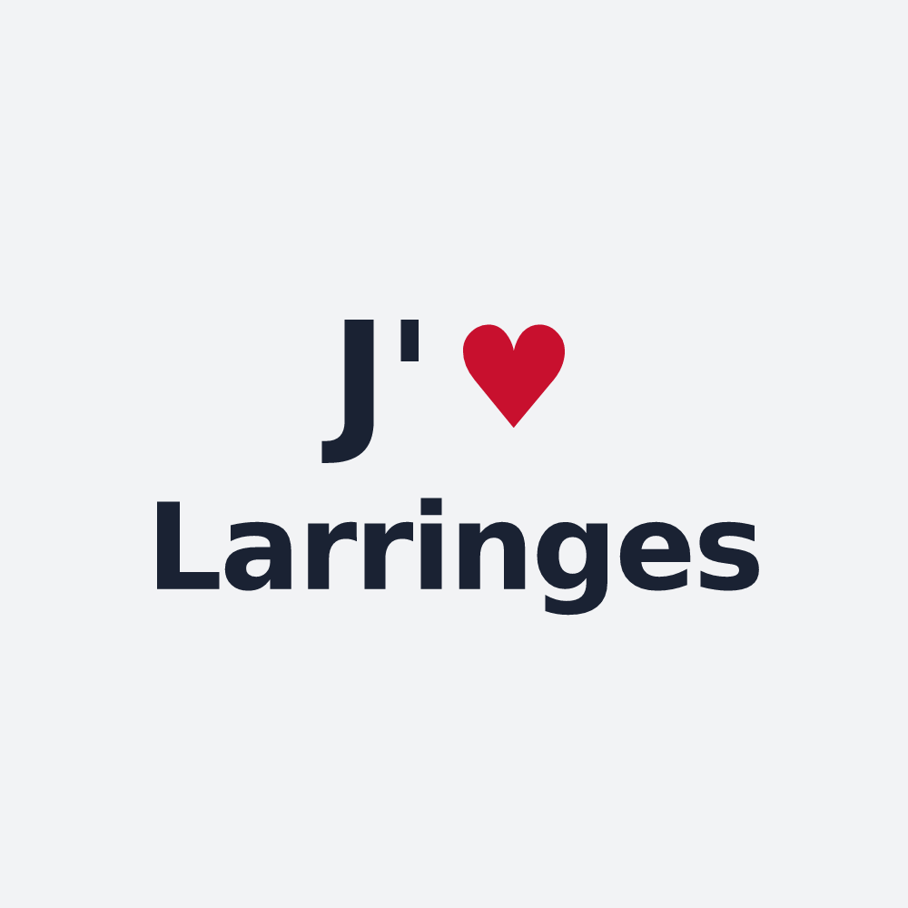 Poster personnalisé Larringes — design J'aime Larringes