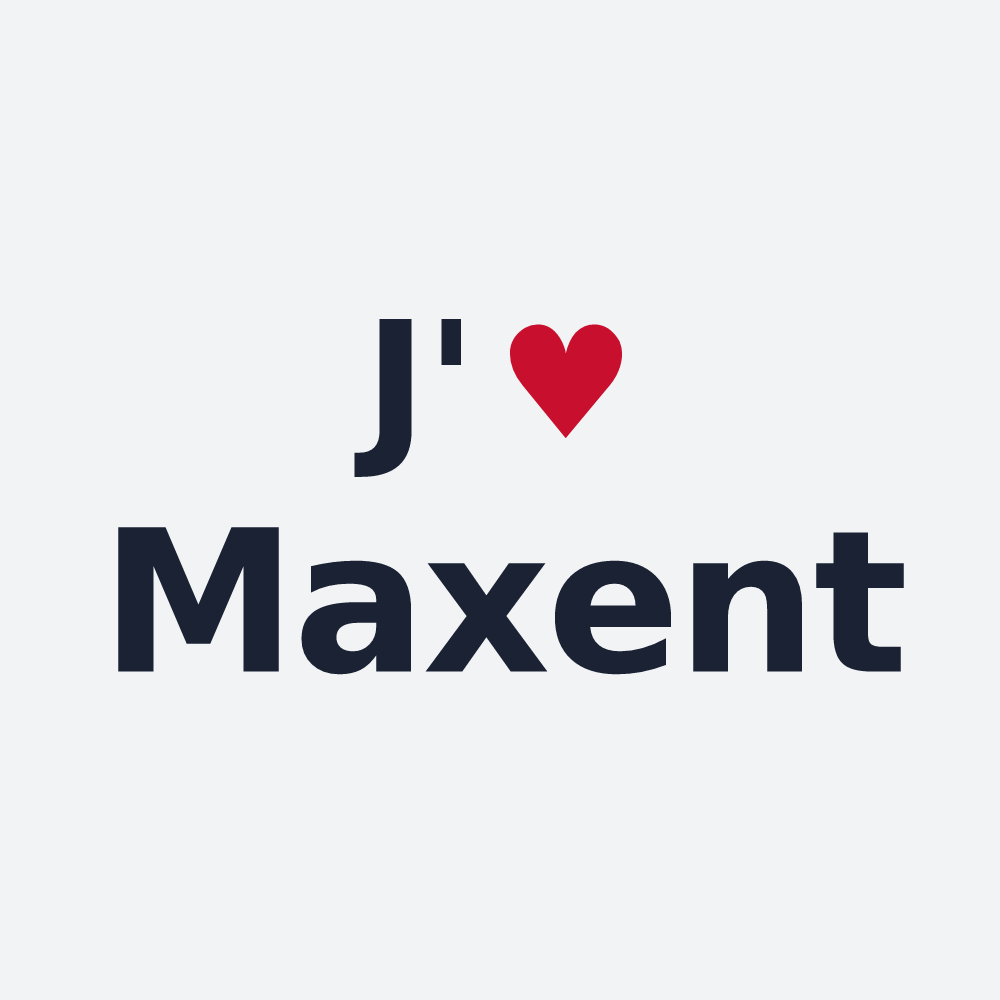 Poster personnalisé Maxent — design J'aime Maxent