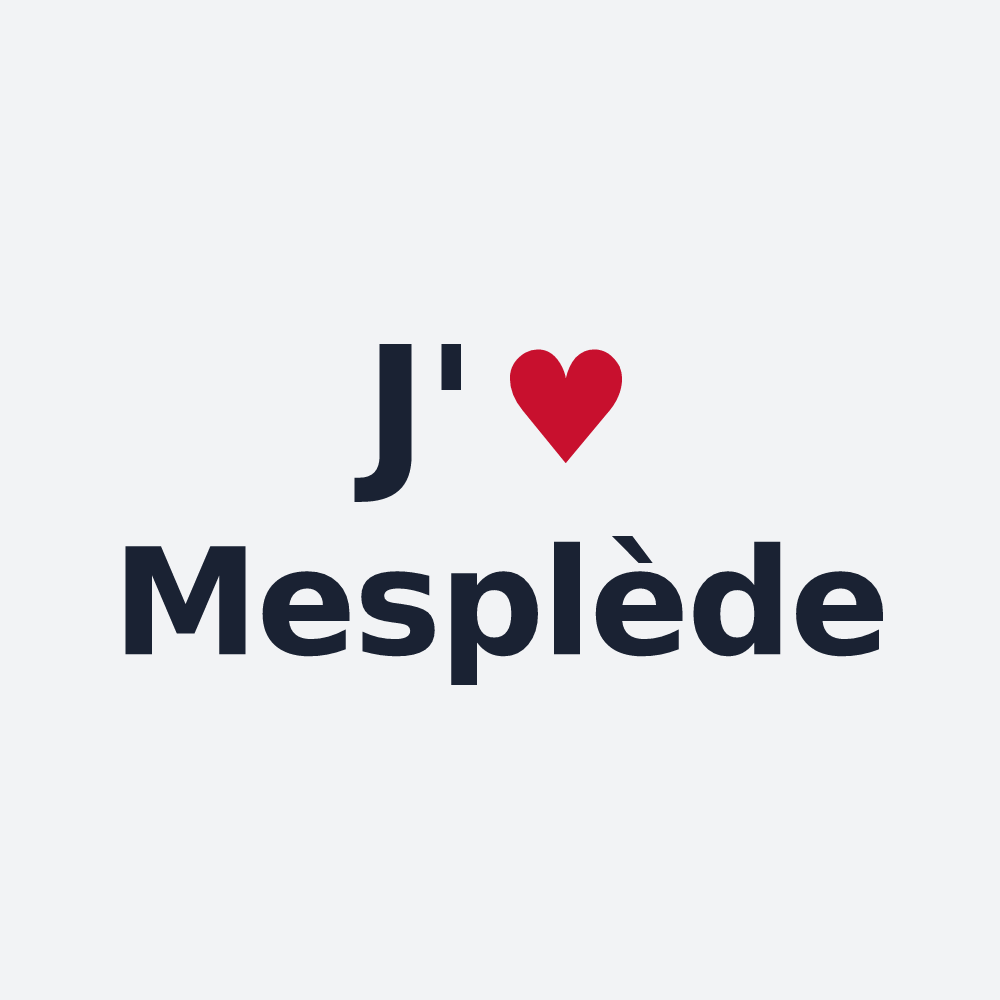Poster personnalisé Mesplède — design J'aime Mesplède