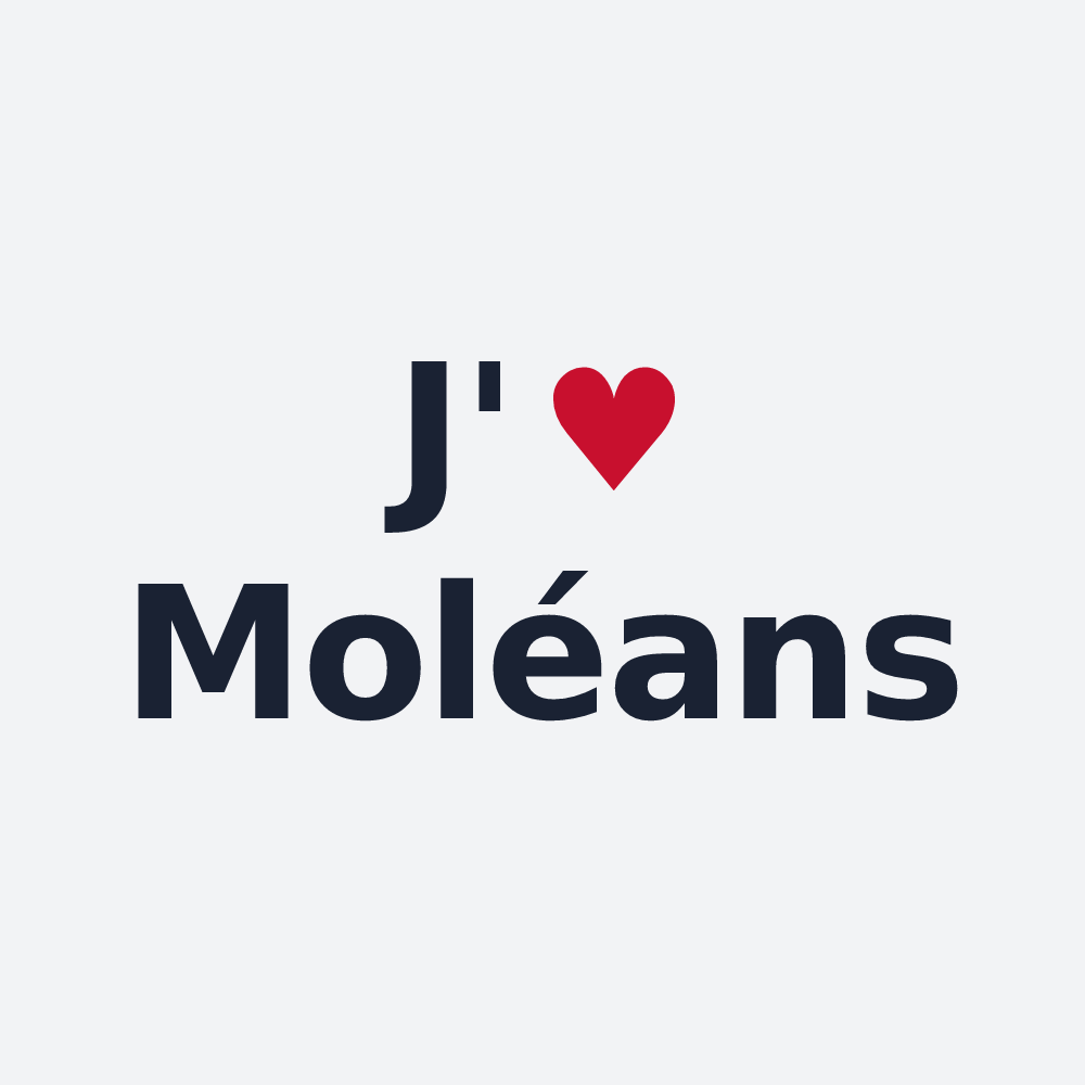 Poster personnalisé Moléans — design J'aime Moléans