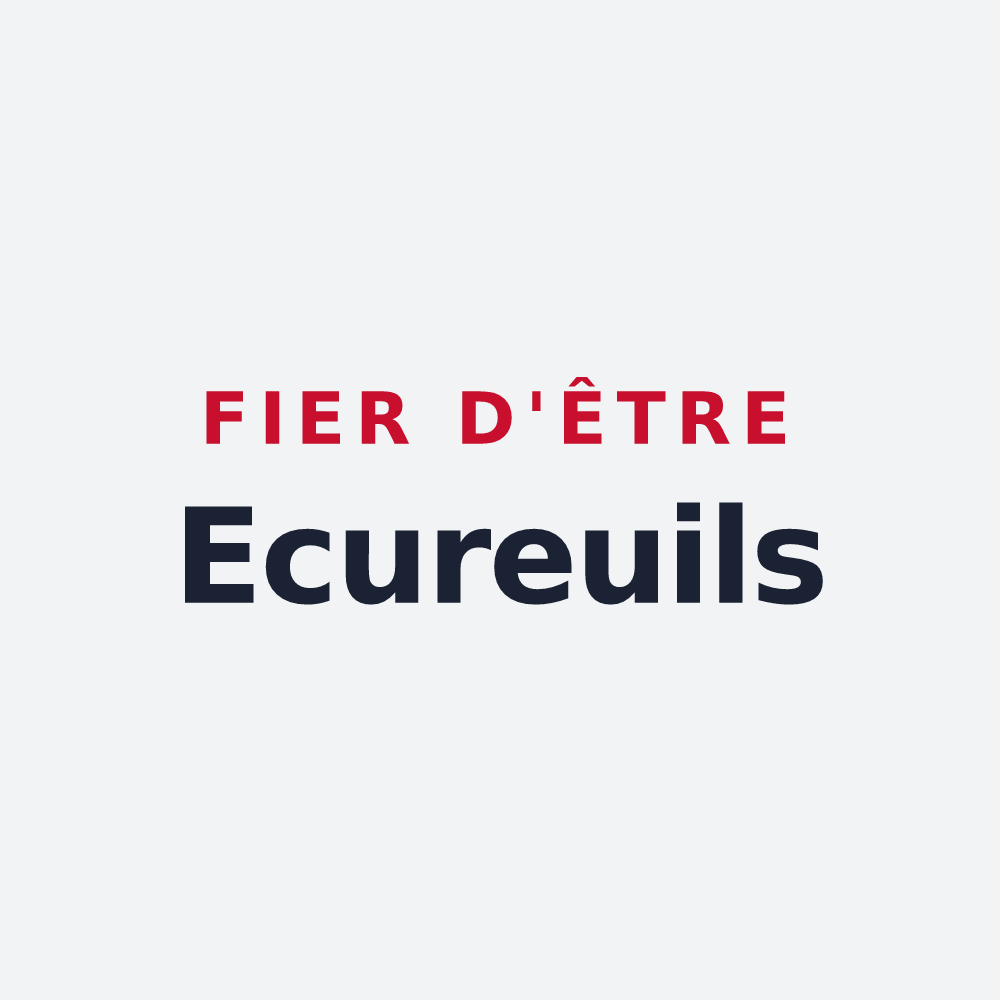 Poster « Fier d'être Ecureuils » — design pour Montreuil-sur-Blaise