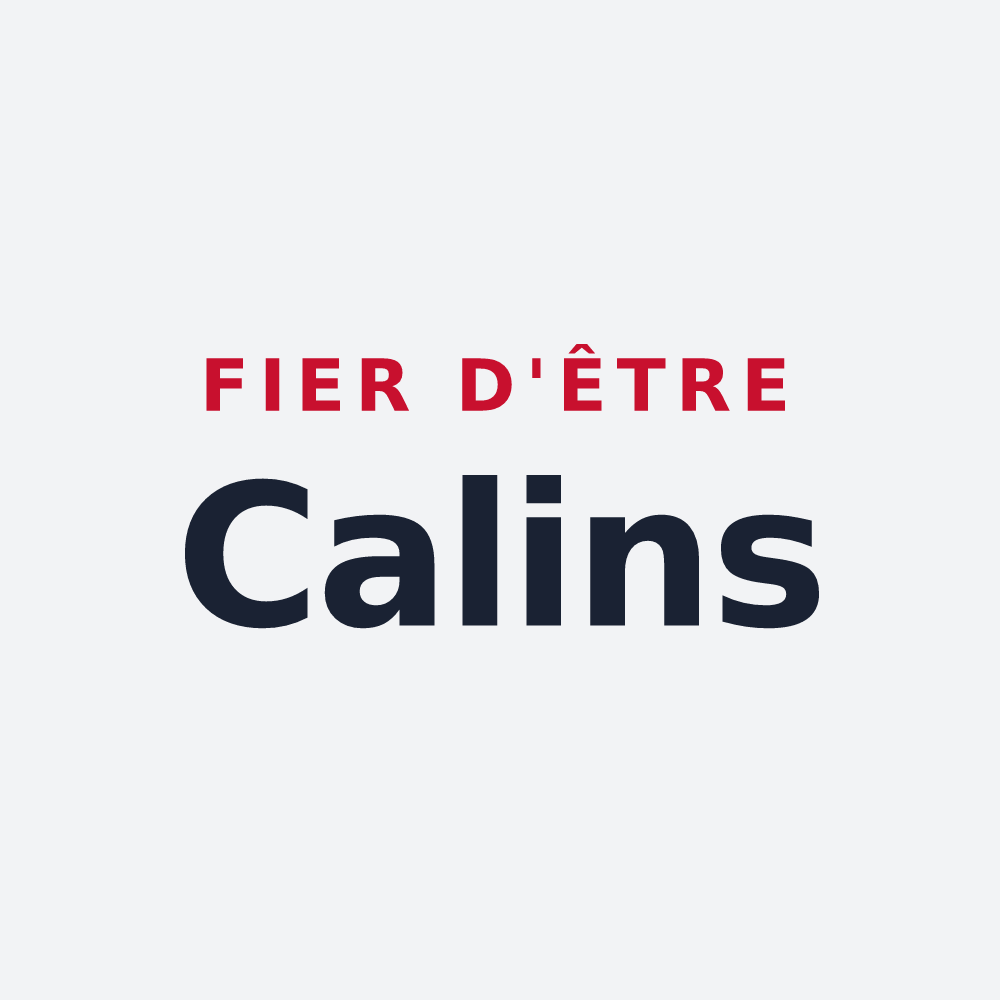 Poster « Fier d'être Calins » — design pour Ney