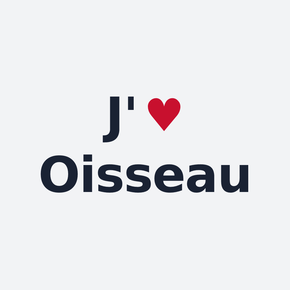 Poster personnalisé Oisseau — design « J'aime Oisseau » imprimé sur le poster