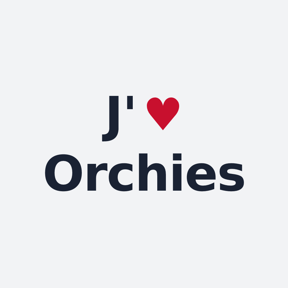 Poster personnalisé Orchies — design J'aime Orchies