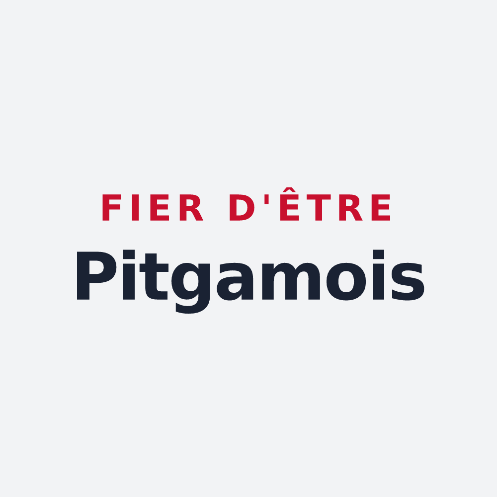 Poster « Fier d'être Pitgamois » — design pour Pitgam
