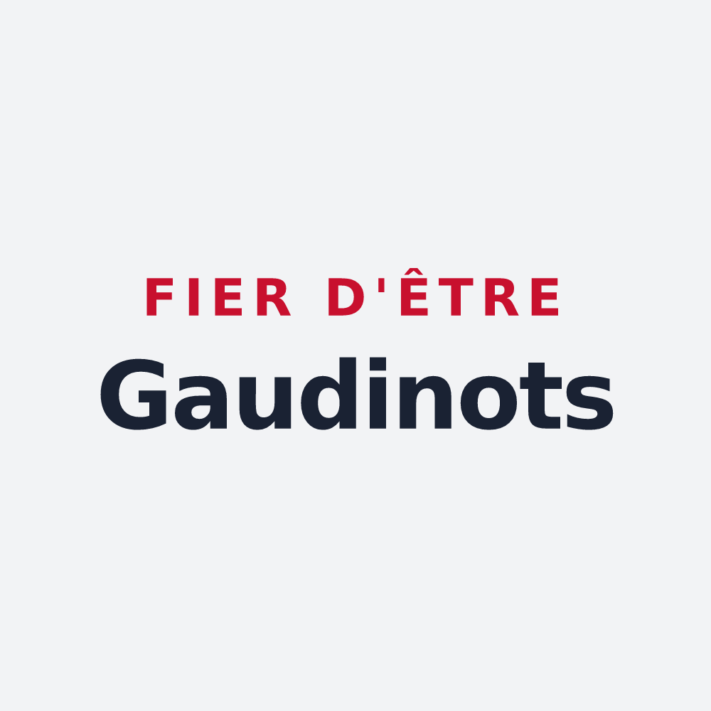 Poster « Fier d'être Gaudinots » — design pour Punerot
