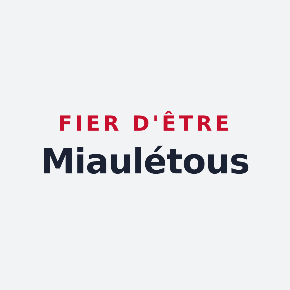 Poster « Fier d'être Miaulétous » — design pour Saint-Léonard-de-Noblat