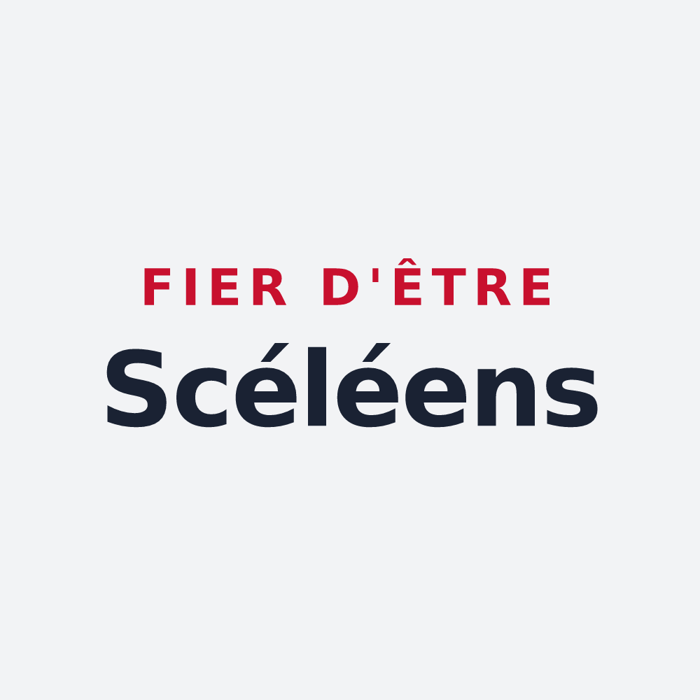 Poster « Fier d'être Scéléens » — design pour Sceaux-du-Gâtinais