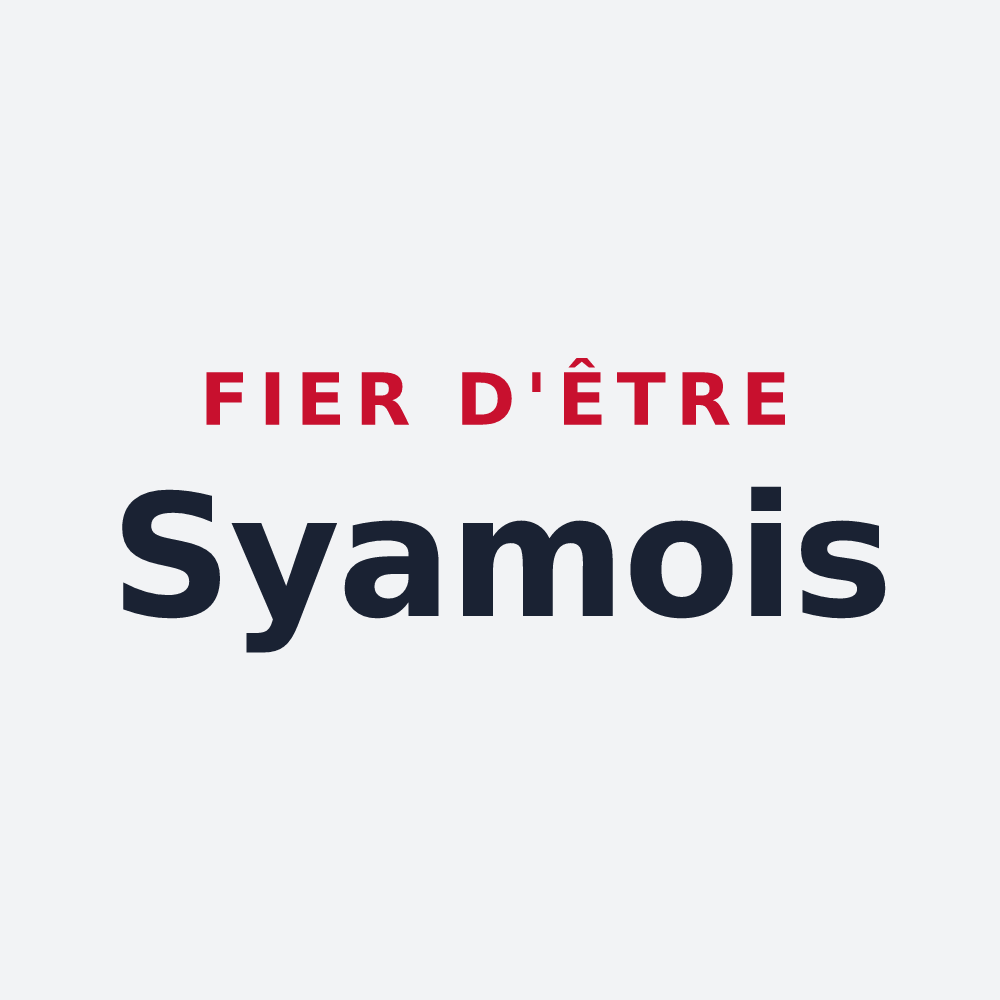 Poster « Fier d'être Syamois » — design pour Syam