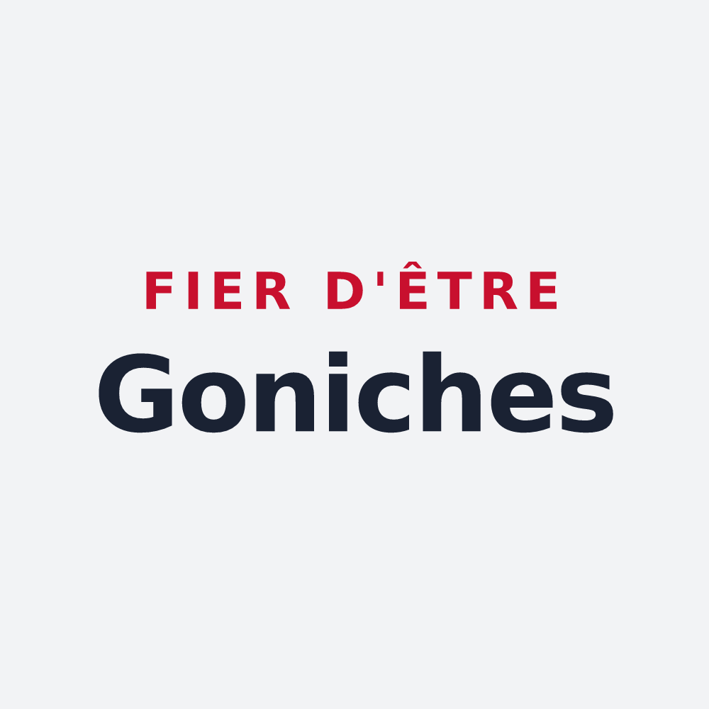Poster « Fier d'être Goniches » — design pour Villey-Saint-Étienne