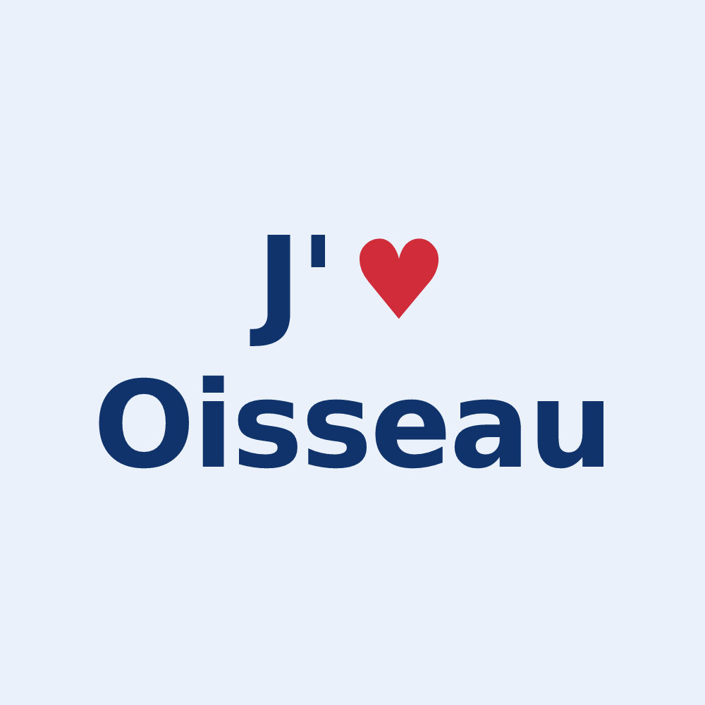 Sticker personnalisé Oisseau — design J'aime Oisseau
