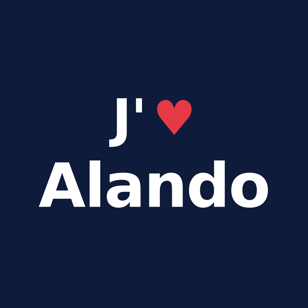 T-shirt personnalisé Alando — design J'aime Alando