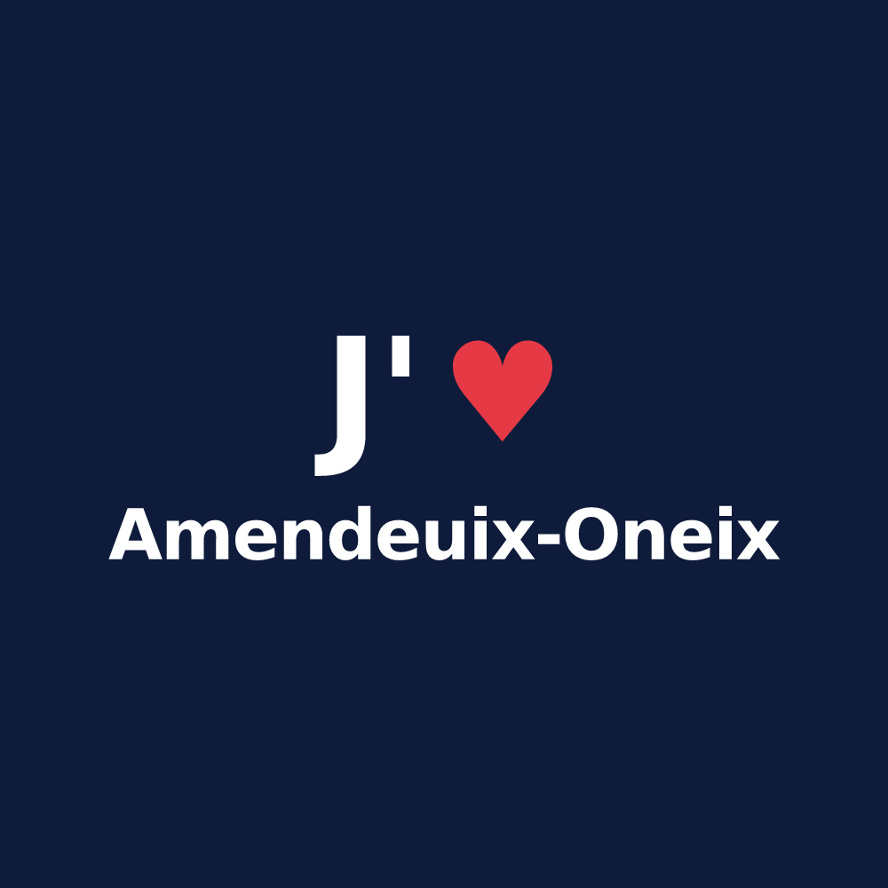 T-shirt personnalisé Amendeuix-Oneix — design J'aime Amendeuix-Oneix