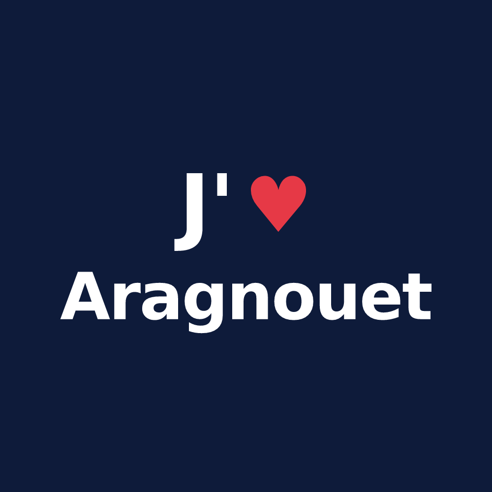 T-shirt personnalisé Aragnouet — design J'aime Aragnouet