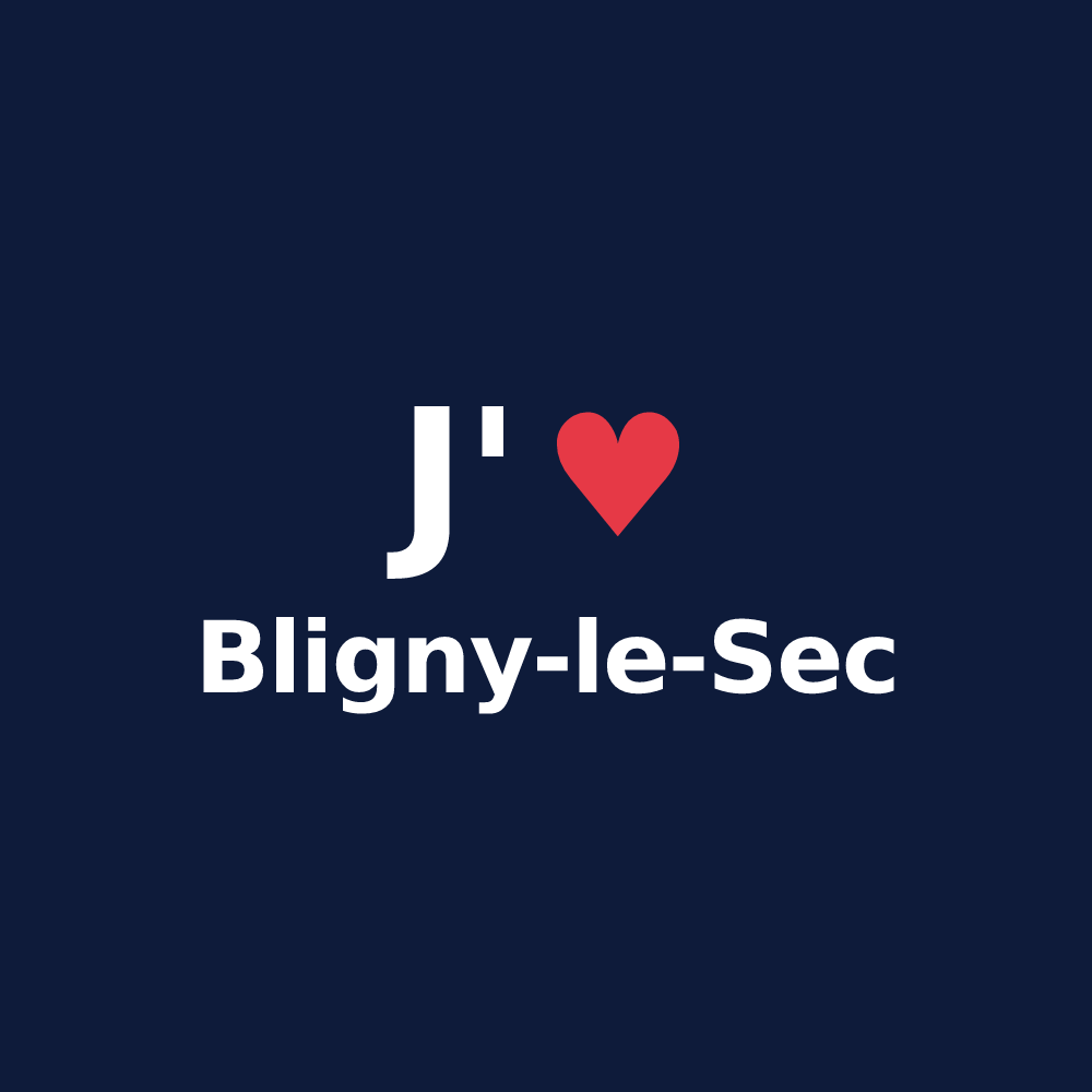 T-shirt personnalisé Bligny-le-Sec — design « J'aime Bligny-le-Sec » imprimé sur le t-shirt