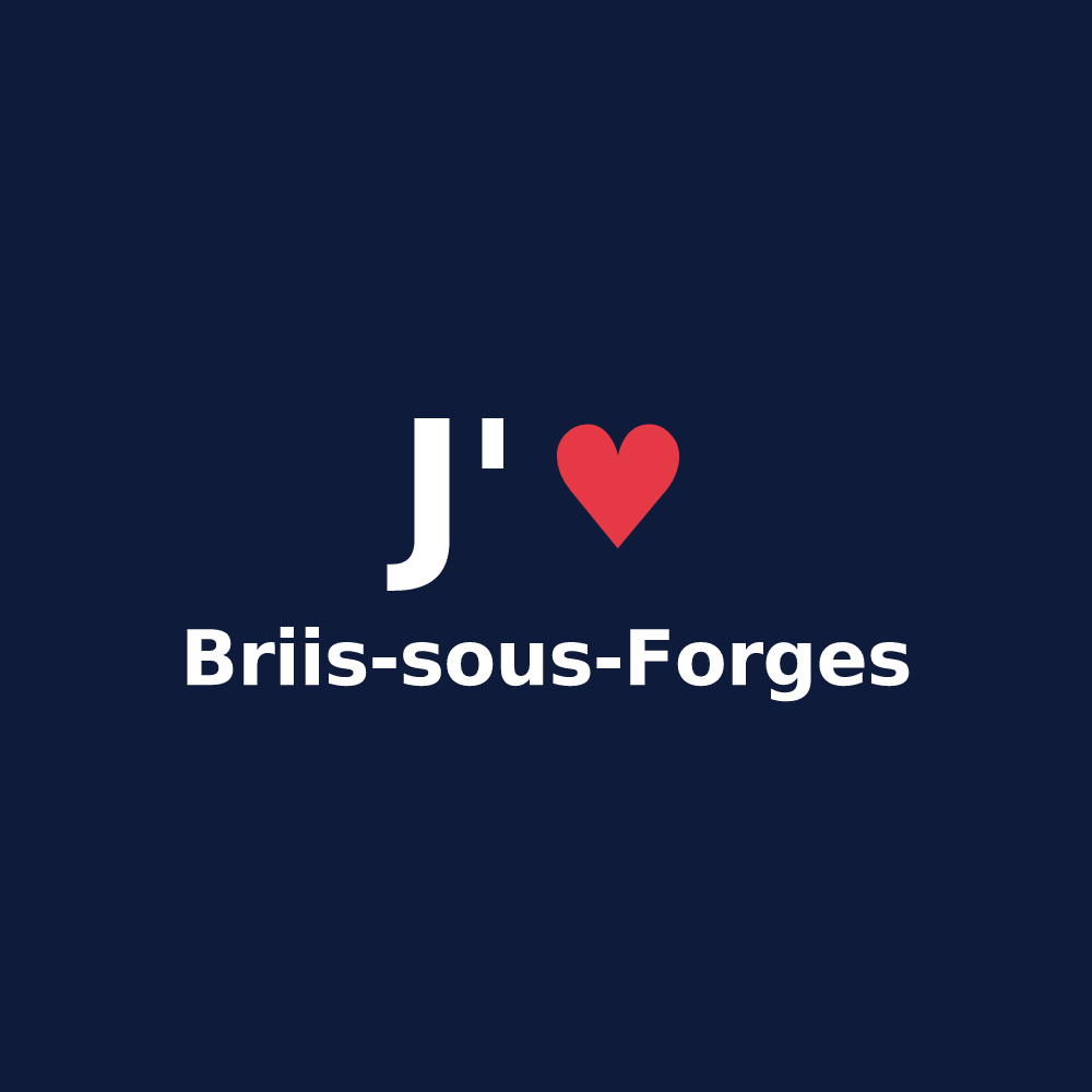 T-shirt personnalisé Briis-sous-Forges — design J'aime Briis-sous-Forges