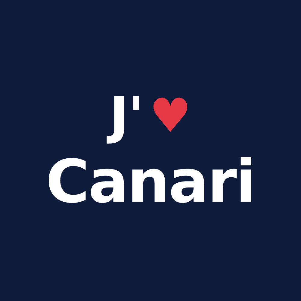 T-shirt personnalisé Canari — design J'aime Canari