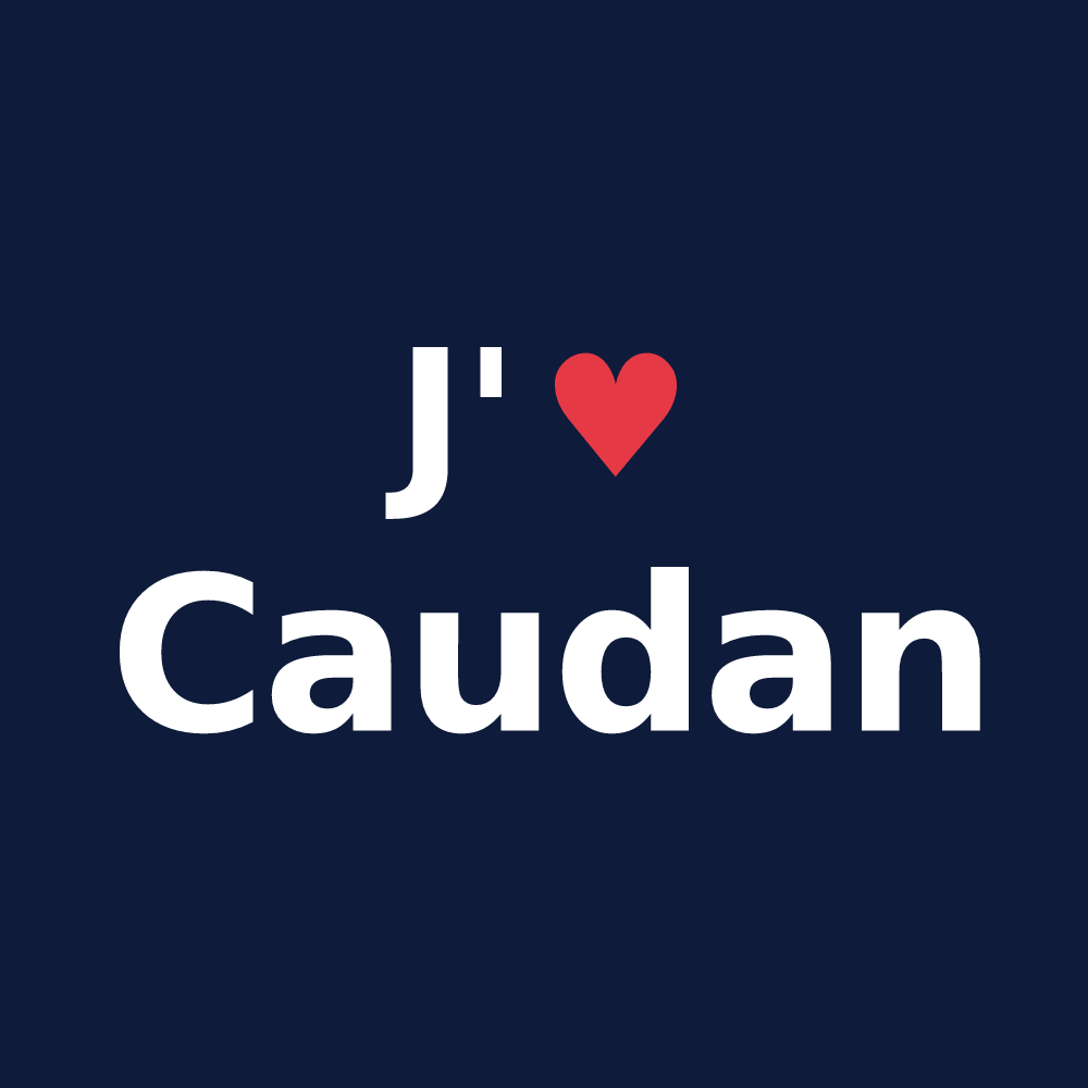 T-shirt personnalisé Caudan — design J'aime Caudan